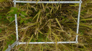MA_275_F9_4_2