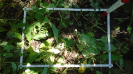 MA_276_F9_1_9