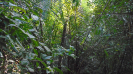 MA_278_F5_4