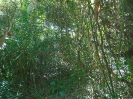 MA_280_F3_pan