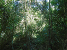 MA_280_F5_3