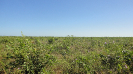 MA_281_F3_pan