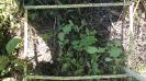 MA_281_F9_3_10