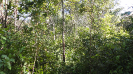 MA_282_F3_pan