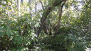 MA_282_F5_1