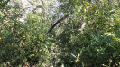 MA_282_F5_3