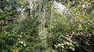 MA_282_F5_4