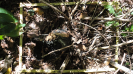 MA_282_F9_2_10