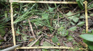 MA_282_F9_2_2