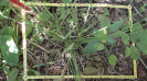 MA_282_F9_3_1