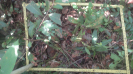 MA_282_F9_4_2