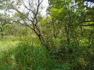 MA_283_F3_pan