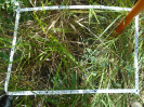 MA_283_F9_1_2