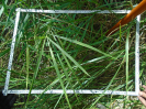 MA_283_F9_2_9