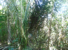 MA_283_L_F5_3