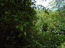 MA_287_F5_3