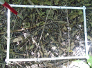 MA_287_F9_3_1