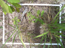 MA_295_F9_2_10