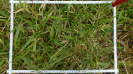 MA_297_F9_1_9