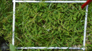 MA_297_F9_3_9