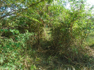 MA_308_F3_pan