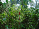 MA_313_F3_pan