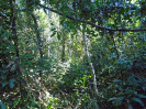 MA_313_F5_4