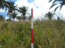 MA_320_F3_pan
