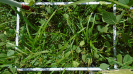MA_323_F9_3_1