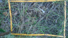 MA_325_F9_4_2