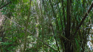 MA_331_F3_pan