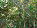 MA_333_F3_pan