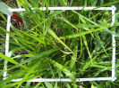 MA_336_F9_2_10