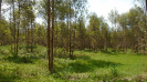 MA_338_F3_pan