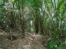 MA_347_F3_pan