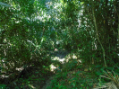 MA_347_F5_2