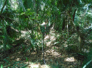 MA_347_F5_3