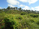MA_348_F3_pan