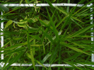 MA_348_F9_1_10