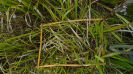 MA_349_F9_2_2