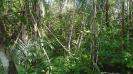 MA_355_H_F3_pan