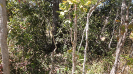 MA_356_F5_3