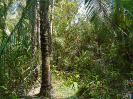 MA_356_E_F3_pan