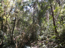 MA_360_F3_pan