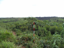 MA_361_F3_pan