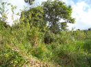 MA_362_F3_pan