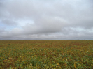MA_363_F3_pan