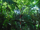 MA_366_F3_pan