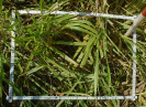 MA_377_F9_2_2