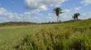 MA_378_F5_3